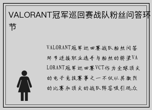 VALORANT冠军巡回赛战队粉丝问答环节